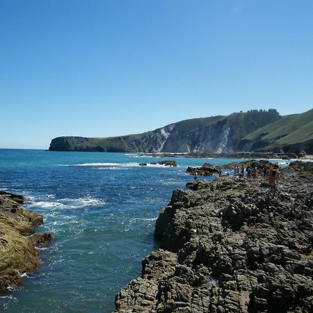 Viviendas De Uso Turistico La Arboleda I Y II Colombres Kültér fotó