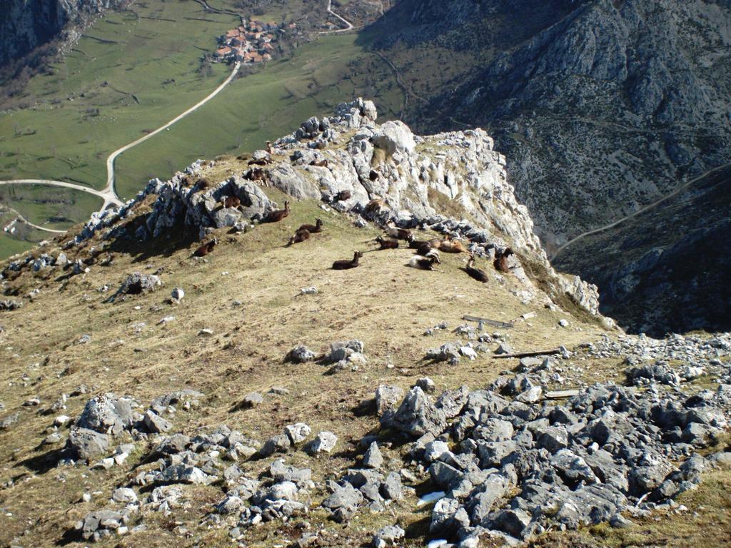 Viviendas De Uso Turistico La Arboleda I Y II Colombres Kültér fotó