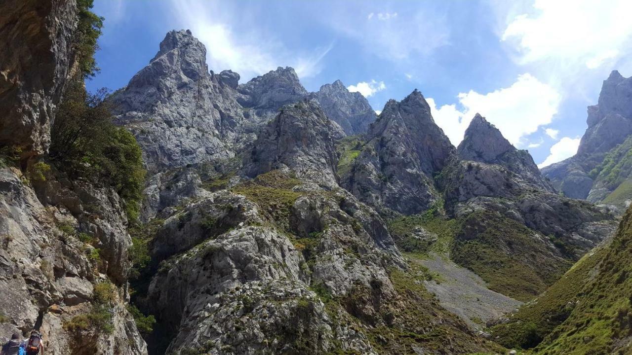 Viviendas De Uso Turistico La Arboleda I Y II Colombres Kültér fotó
