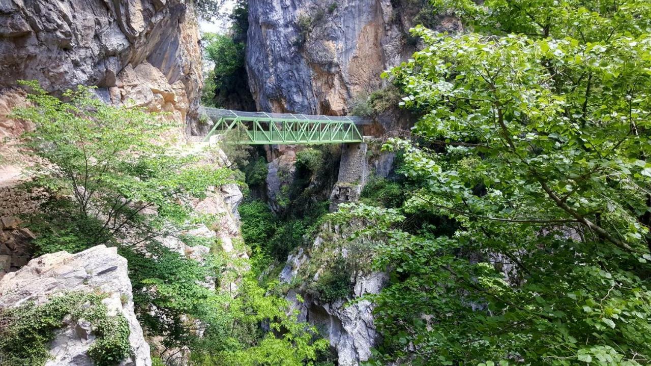 Viviendas De Uso Turistico La Arboleda I Y II Colombres Kültér fotó