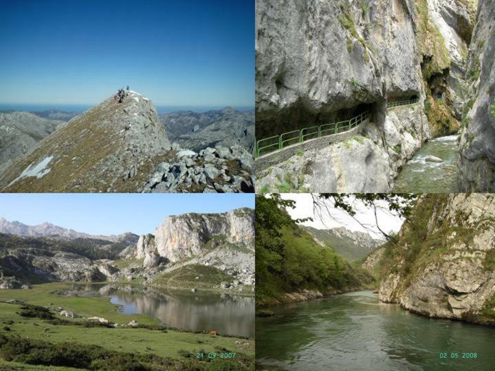 Viviendas De Uso Turistico La Arboleda I Y II Colombres Kültér fotó